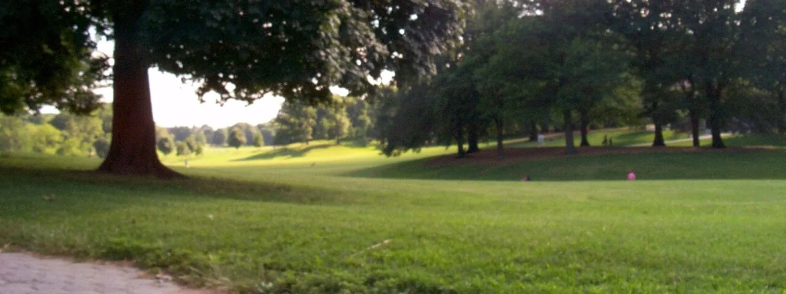 Prospect Park