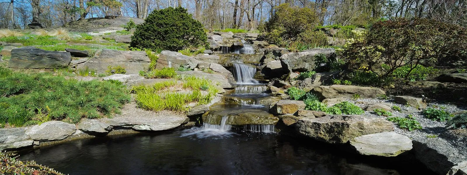 New York Botanical Garden