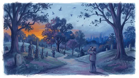 Birding In Peace
