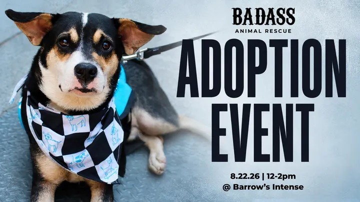 Badass Animal Rescue Adoption Event with Barrow’s Intense