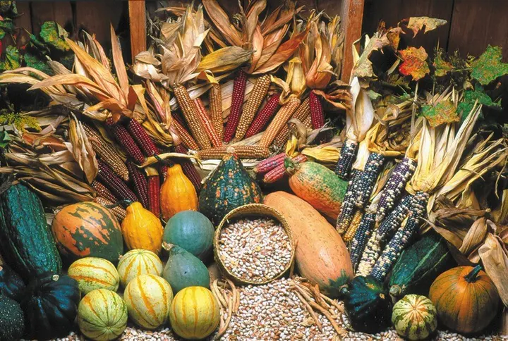 Garden to Table: A Plethora of Produce